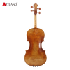 Guarneri Del Gesù Violine PVE91