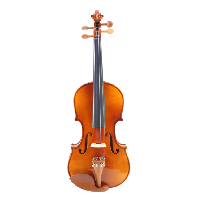 Artland Günstiges Solid-Vioins-Outfit für Anfänger GV103F