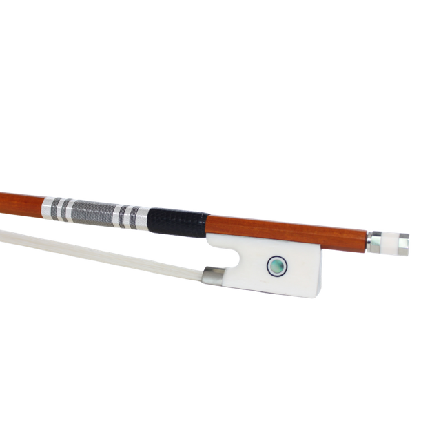 Ochsenknochenfrosch Pernambuk-Geigenbogen NB953