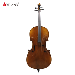 Hochwertiges, fortschrittliches Cello AC100S