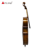 Hochwertiges, fortschrittliches Cello AC100S