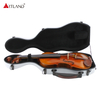 Kabinen-Flugkoffer für Violine SVC100